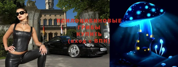 экстази Арсеньев